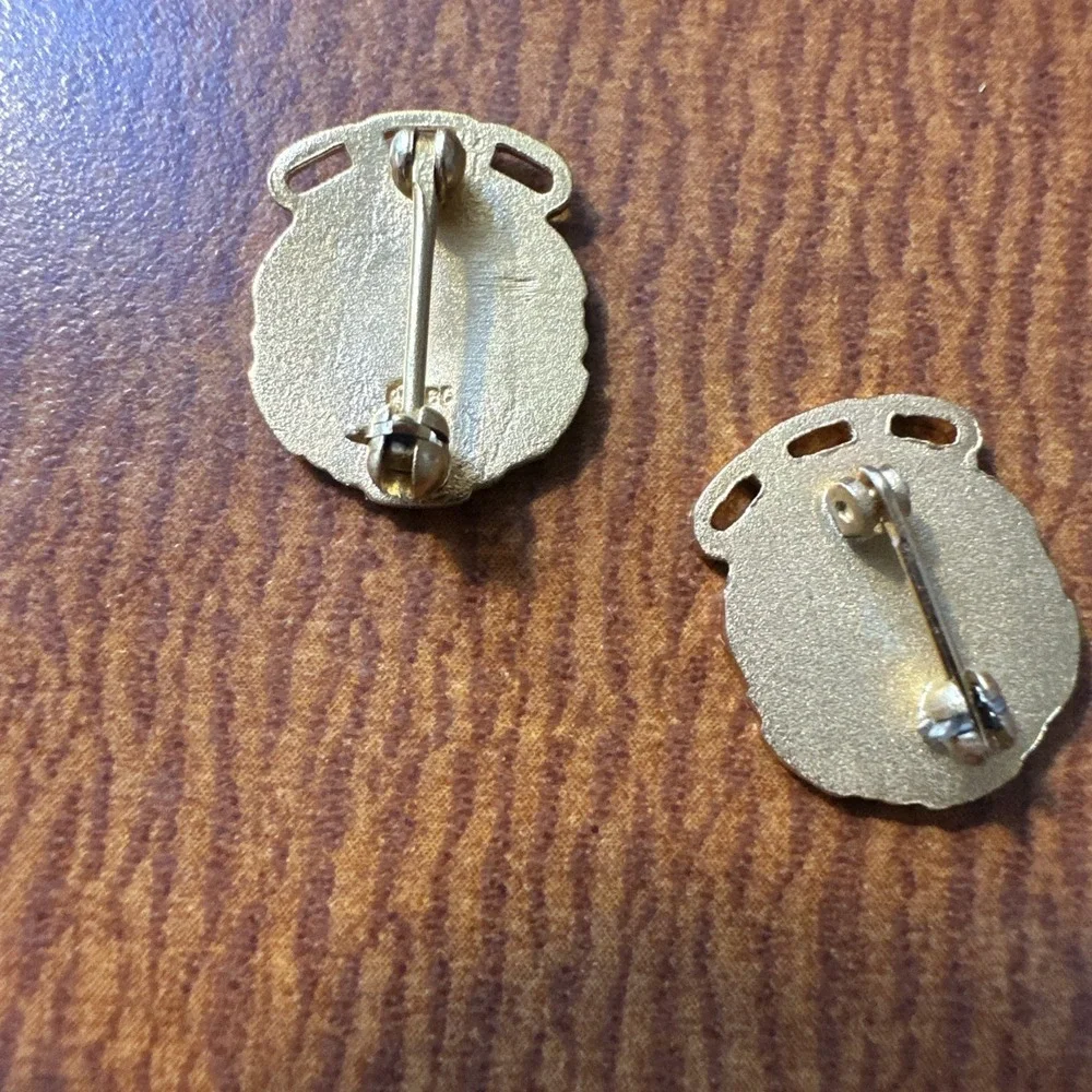 Vintage IOOF Odd Fellows Rebekah Degree Veteran 50 & 60Year Member Jewel/Pins